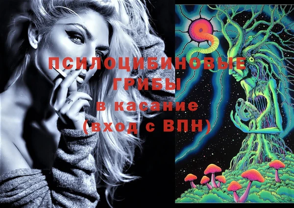 прущие грибы Абдулино