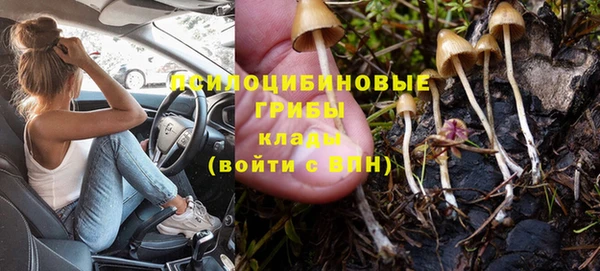 прущие грибы Абдулино
