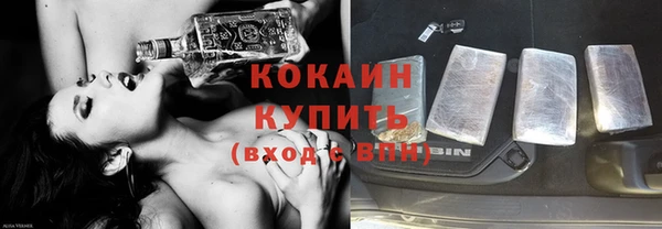 дмт Рославль