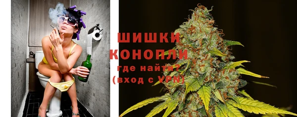 прущие грибы Абдулино